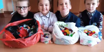 Экология и мы