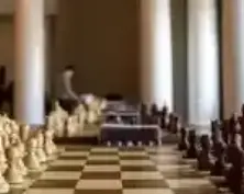 Зональные соревнования по шахматам