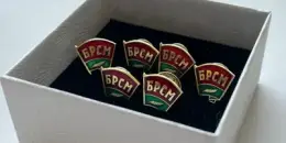 Пополнение в рядах БРПО и БРСМ